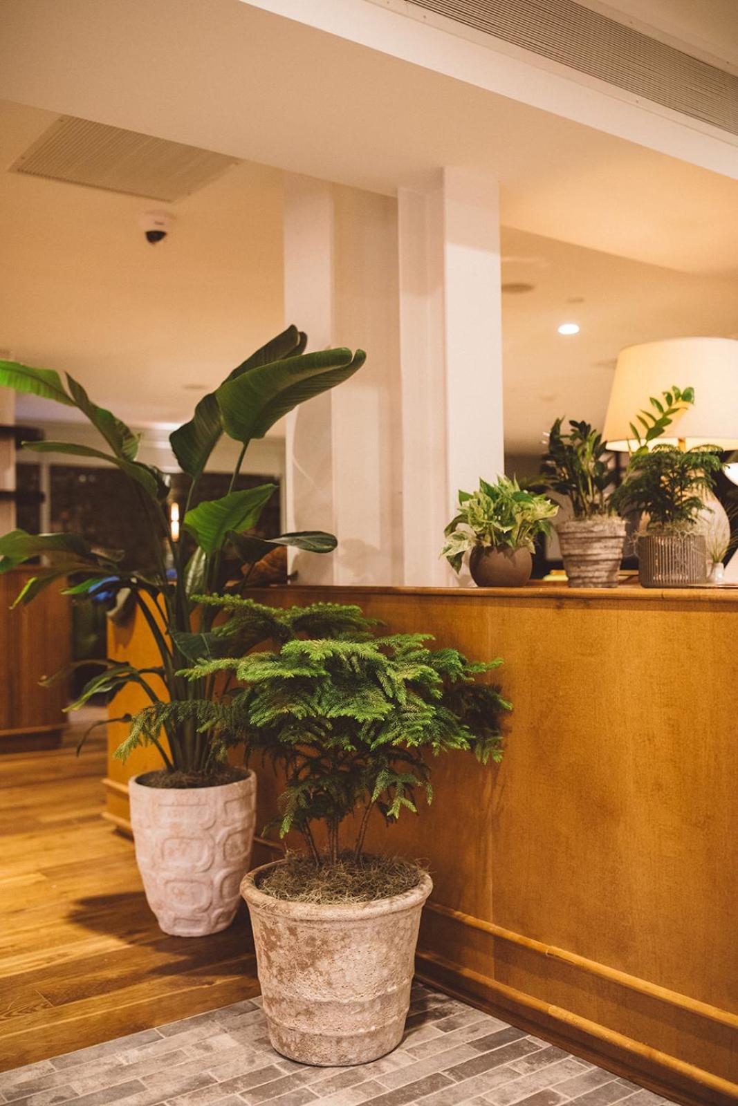 Hotel Emeline Charleston Extérieur photo
