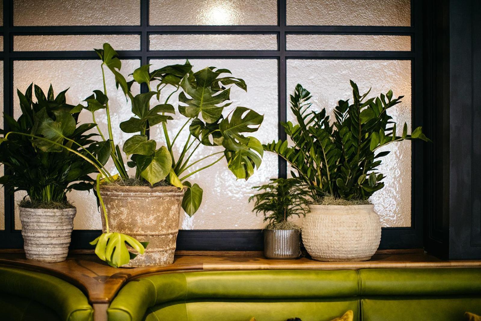 Hotel Emeline Charleston Extérieur photo